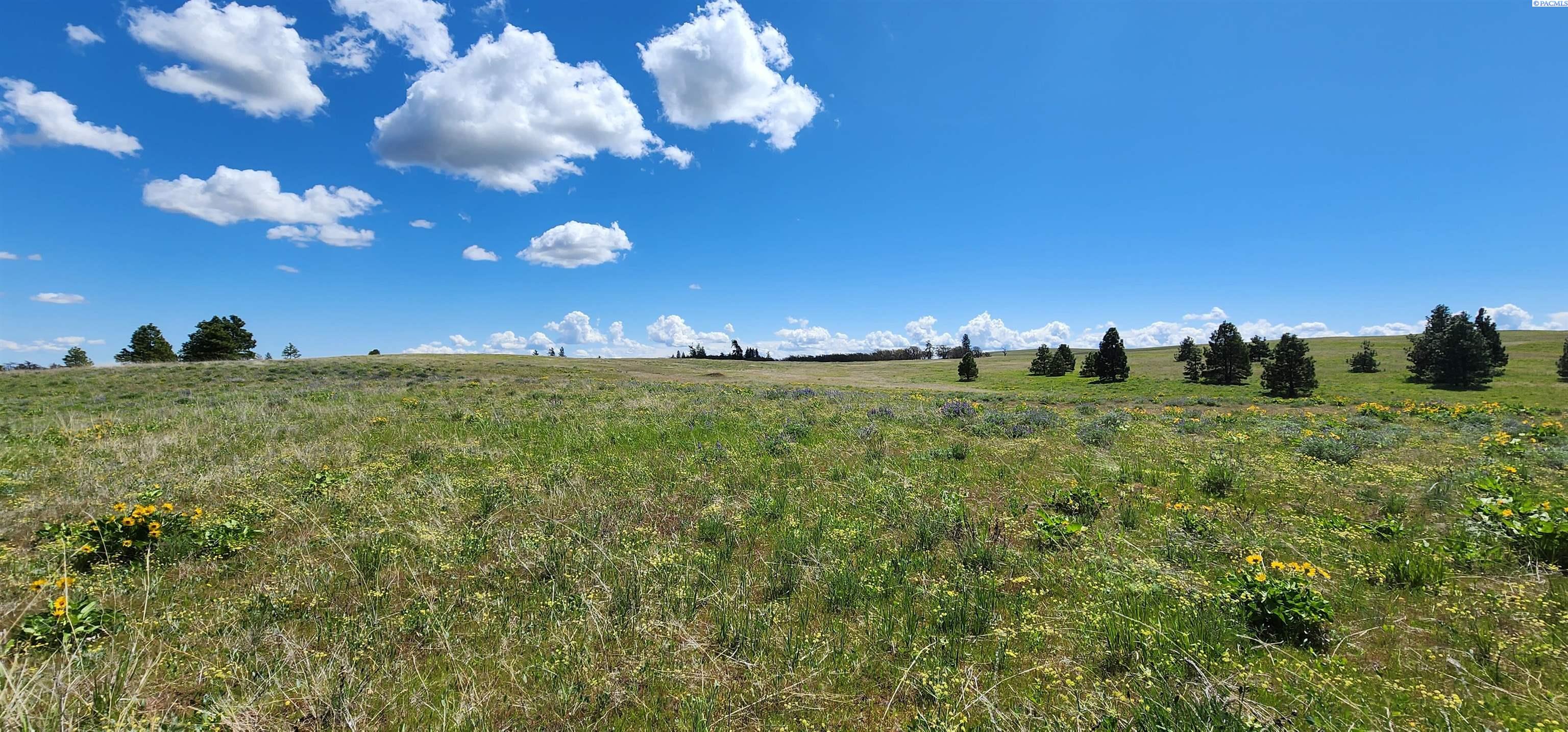 Lot 19 Schilling Road Lyle, WA 98635 - Photo 13 of 39 Gallery Image 13