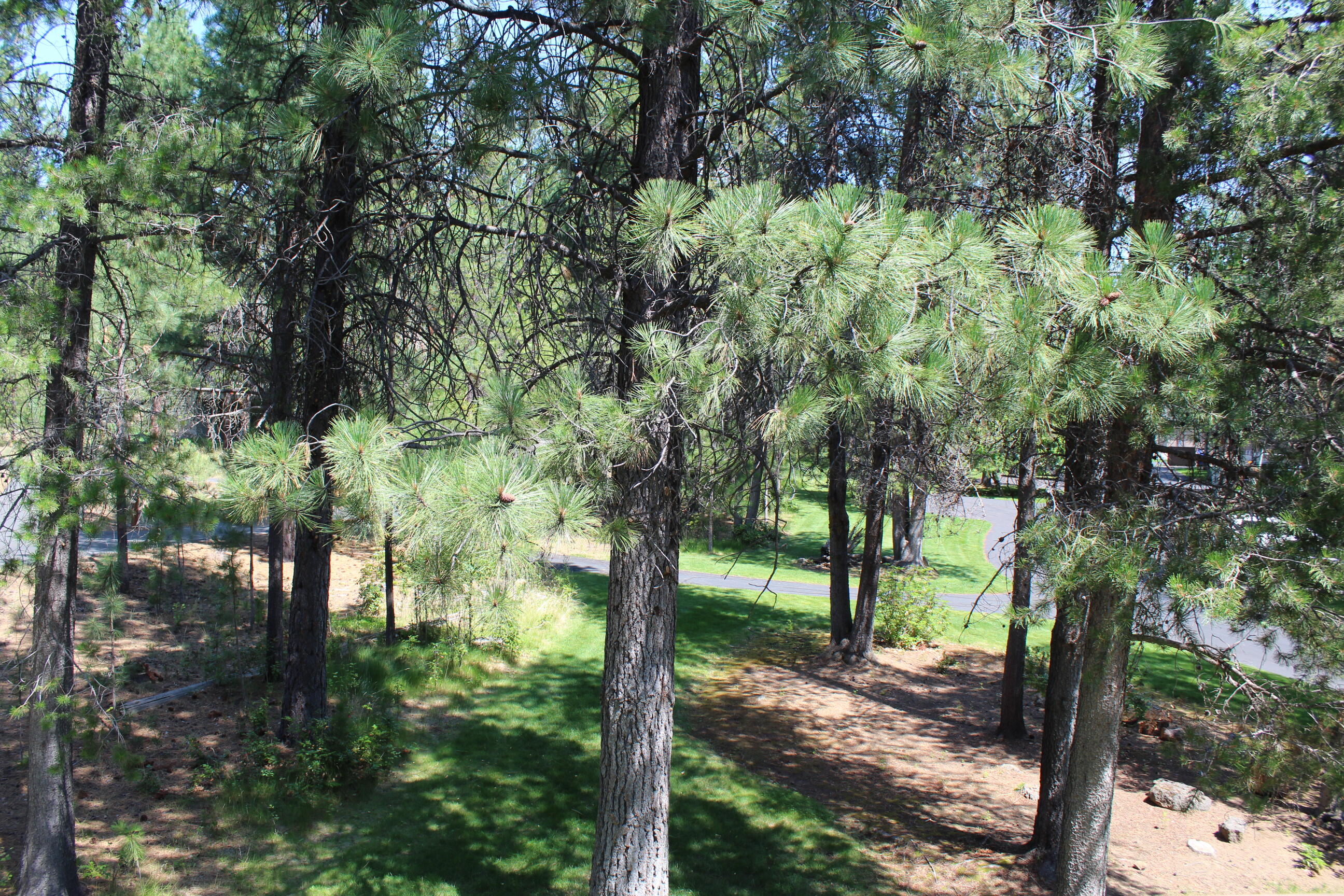 57327 Beaver Ridge Loop, Unit 6D2 Sunriver, OR 97707 - Photo 27 of 30 28-R6