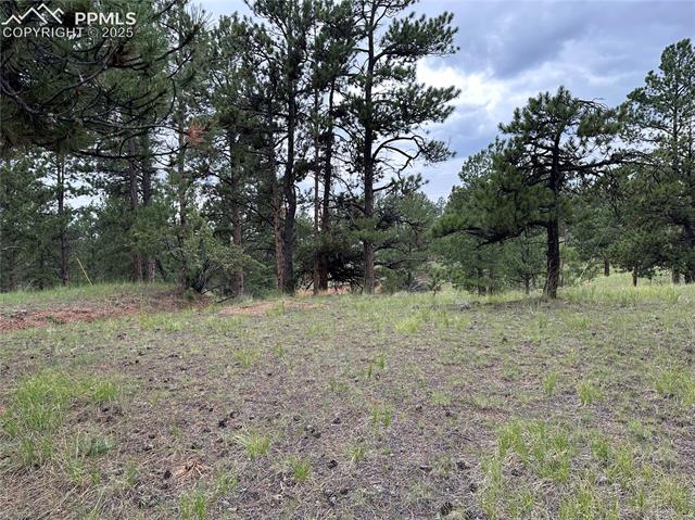 421 Pinewood Road Florissant, CO 80816 - Photo 6 of 10
