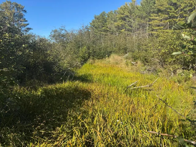 $49,900 | Lot 19-1 Green Valley Road, Stockton Springs, ME 04981