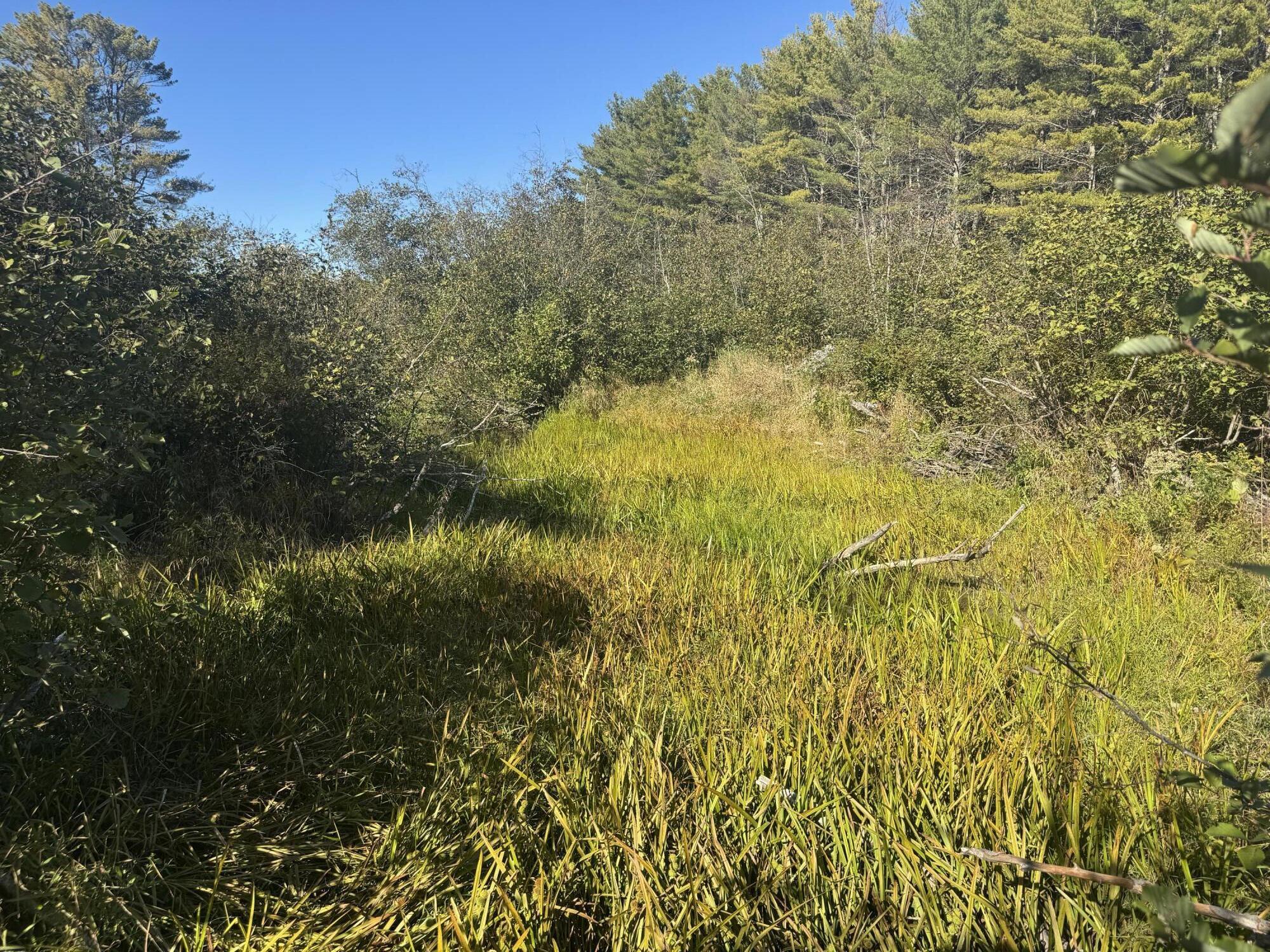 Lot 19-1 Green Valley Road Stockton Springs, ME 04981 - Photo 3 of 10 20250922_185340751_iOS