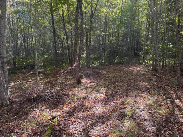 $49,900 | Lot 19-1 Green Valley Road, Stockton Springs, ME 04981