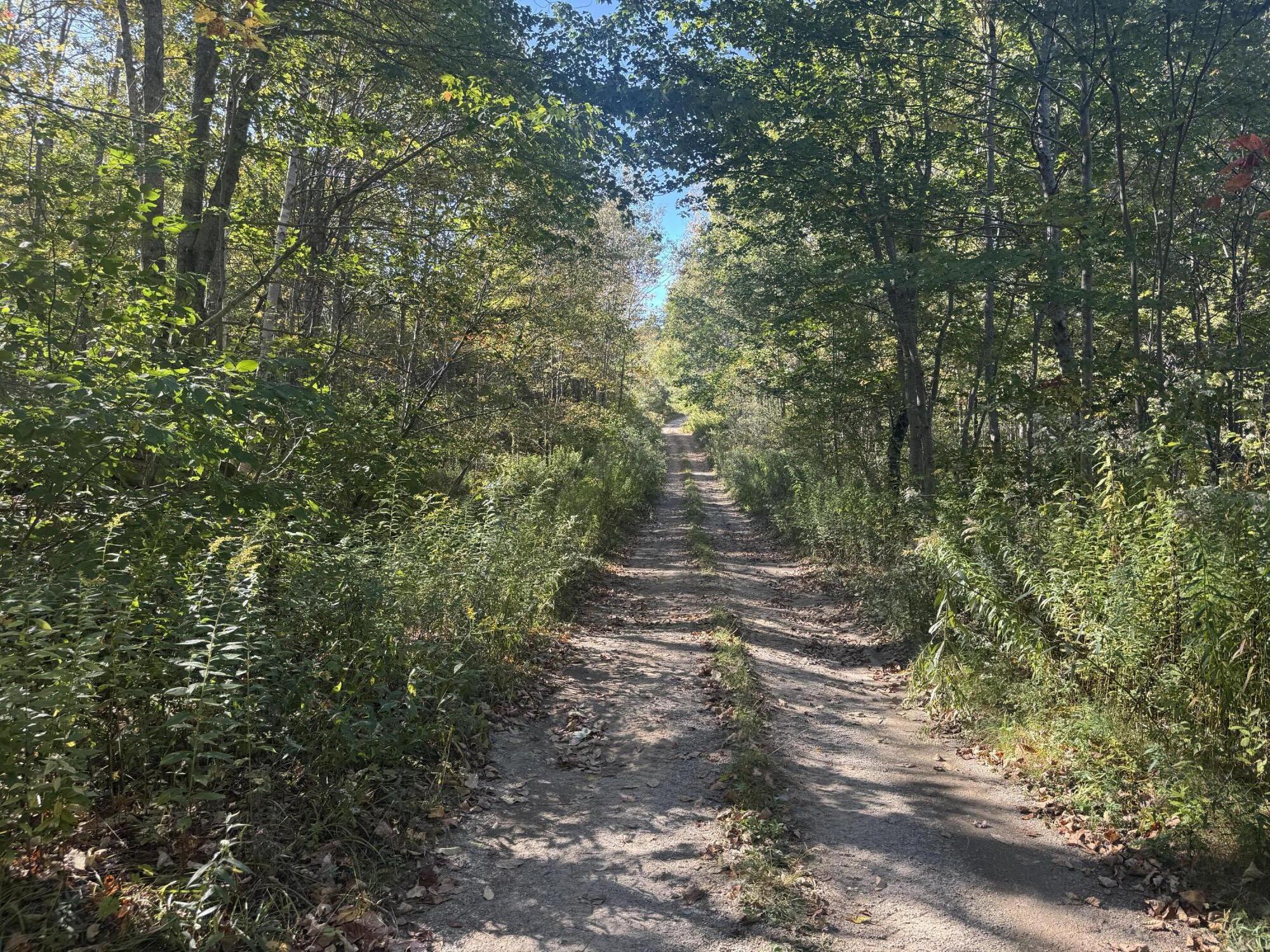 Lot 19-1 Green Valley Road Stockton Springs, ME 04981 - Photo 5 of 10 20250922_190619684_iOS