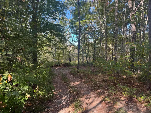 $49,900 | Lot 19-1 Green Valley Road, Stockton Springs, ME 04981