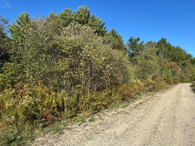 $49,900 | Lot 19-1 Green Valley Road, Stockton Springs, ME 04981