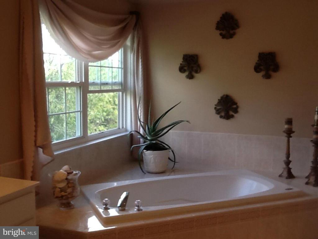 37236 Jeb Stuart Road Purcellville, VA 20132 - Photo 19 of 30 Bath (Master)
