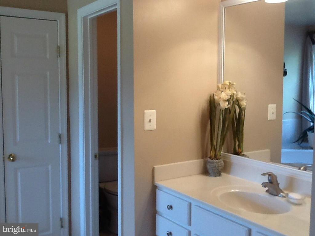 37236 Jeb Stuart Road Purcellville, VA 20132 - Photo 20 of 30 Bath (Master)