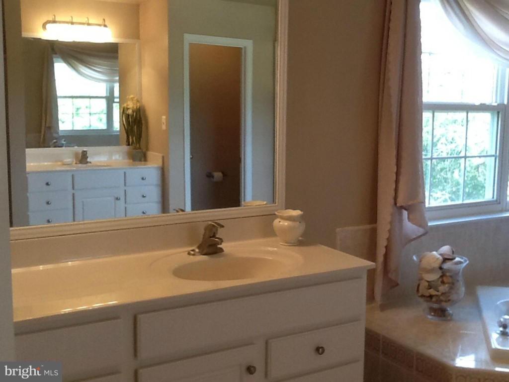 37236 Jeb Stuart Road Purcellville, VA 20132 - Photo 21 of 30 Bath (Master)