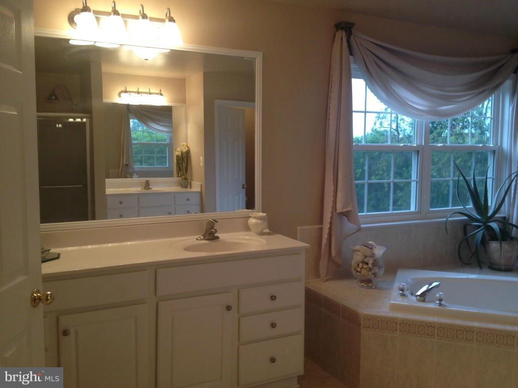 37236 Jeb Stuart Road Purcellville, VA 20132 - Photo 22 of 30 Bath (Master)