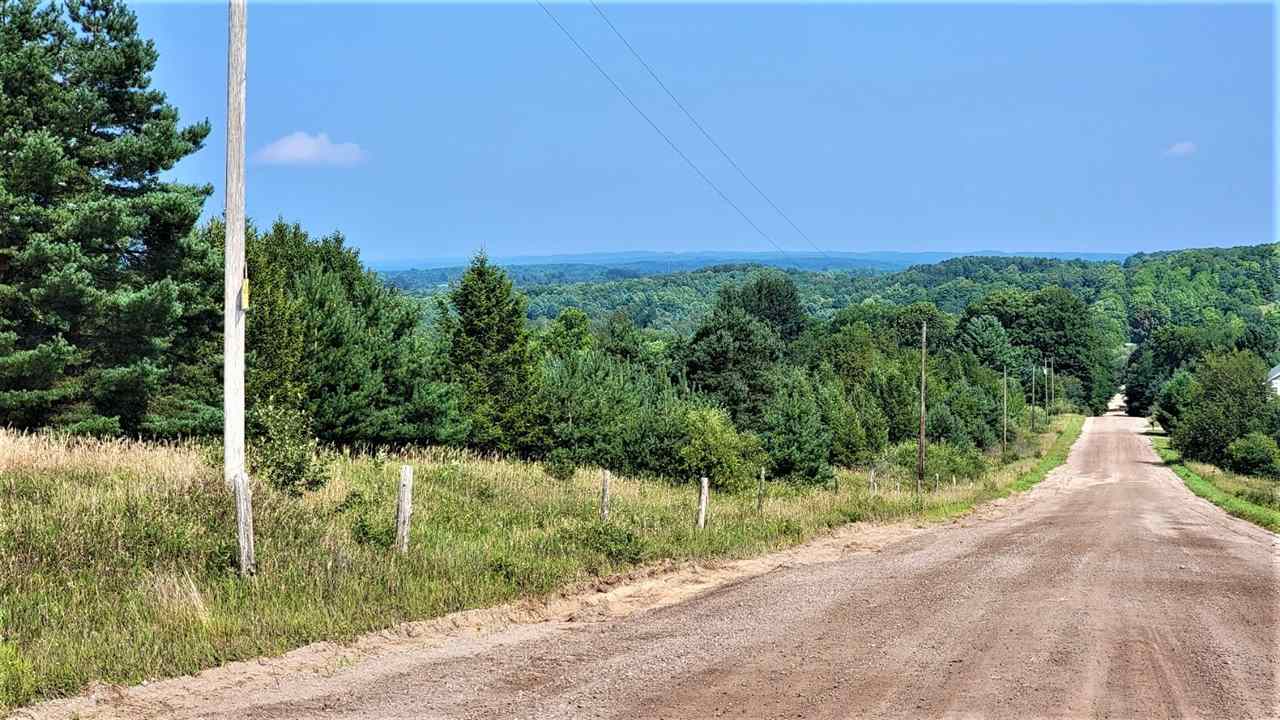 Parcel B Cemetery Road, Unit LOT: B Alden, MI 49612 - Photo 8 of 8