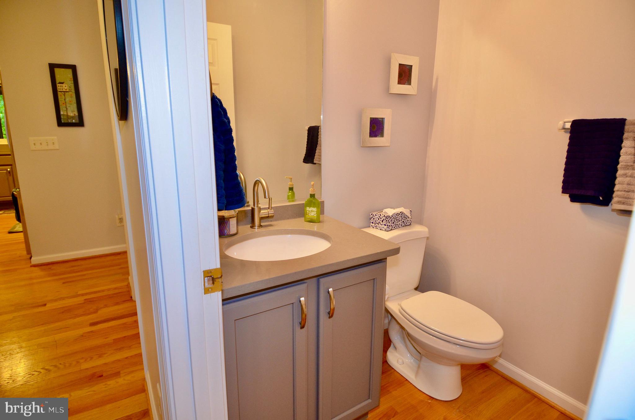 214 Birdie Road Locust Grove, VA 22508 - Photo 13 of 44 Bath with hardwood floors