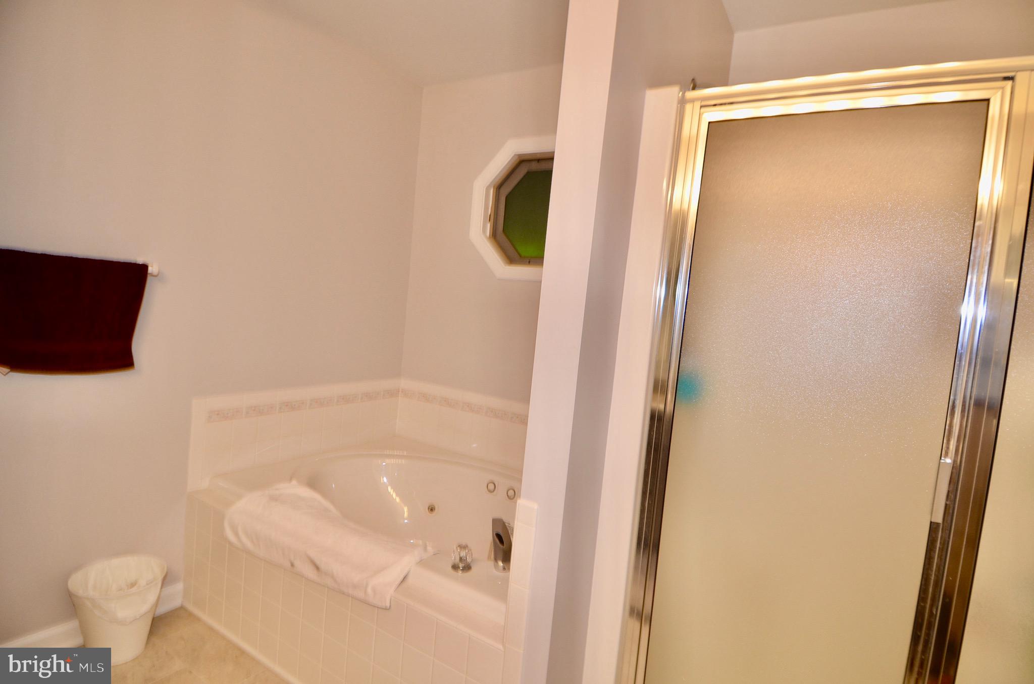 214 Birdie Road Locust Grove, VA 22508 - Photo 18 of 44 Master Tub/Shower