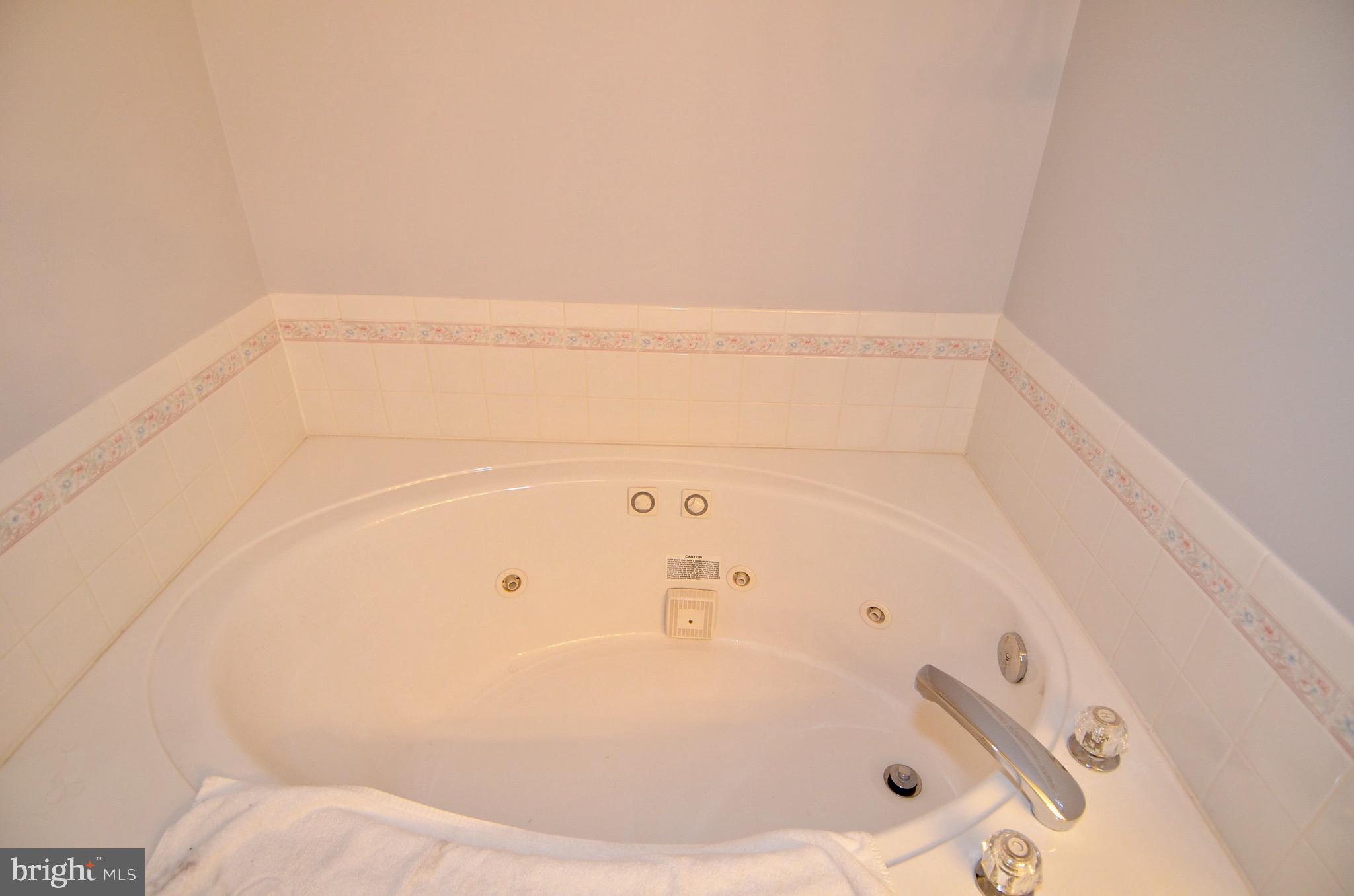214 Birdie Road Locust Grove, VA 22508 - Photo 19 of 44 Master soaking tub