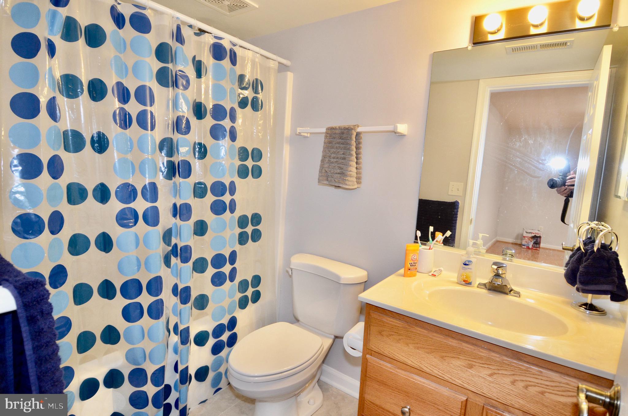 214 Birdie Road Locust Grove, VA 22508 - Photo 31 of 44 Basement Bath