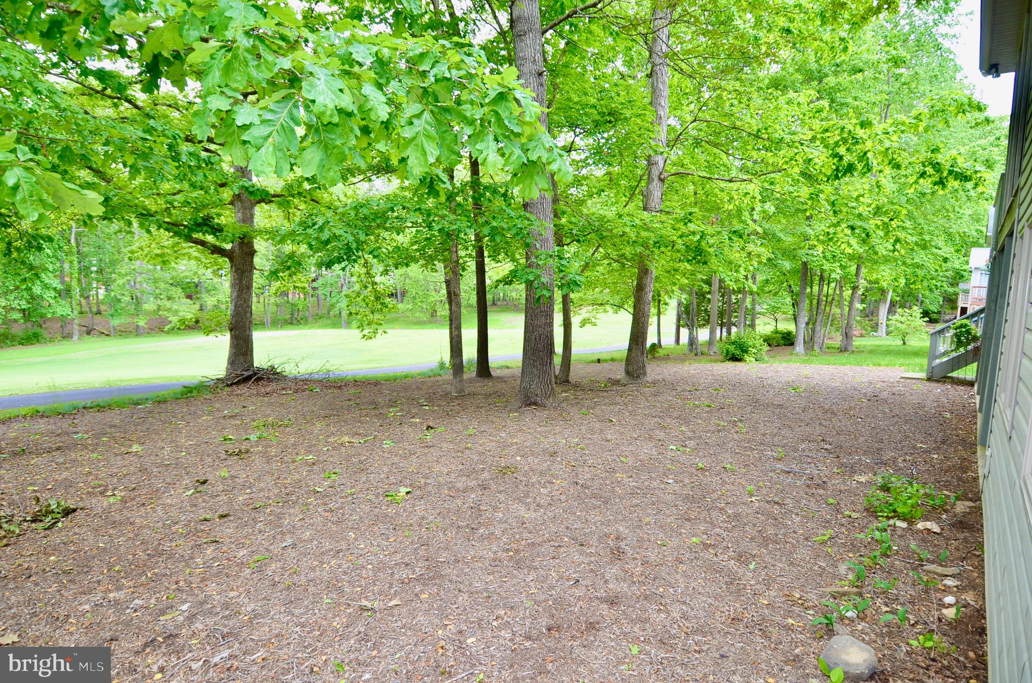 214 Birdie Road Locust Grove, VA 22508 - Photo 34 of 44 Back Yard