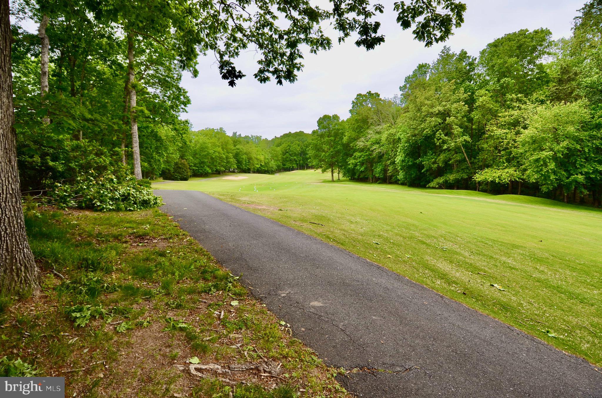 214 Birdie Road Locust Grove, VA 22508 - Photo 35 of 44 On the 10th hole of the Golf Course