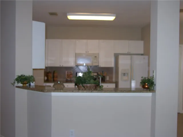 a kitchen with a sink and potted plant