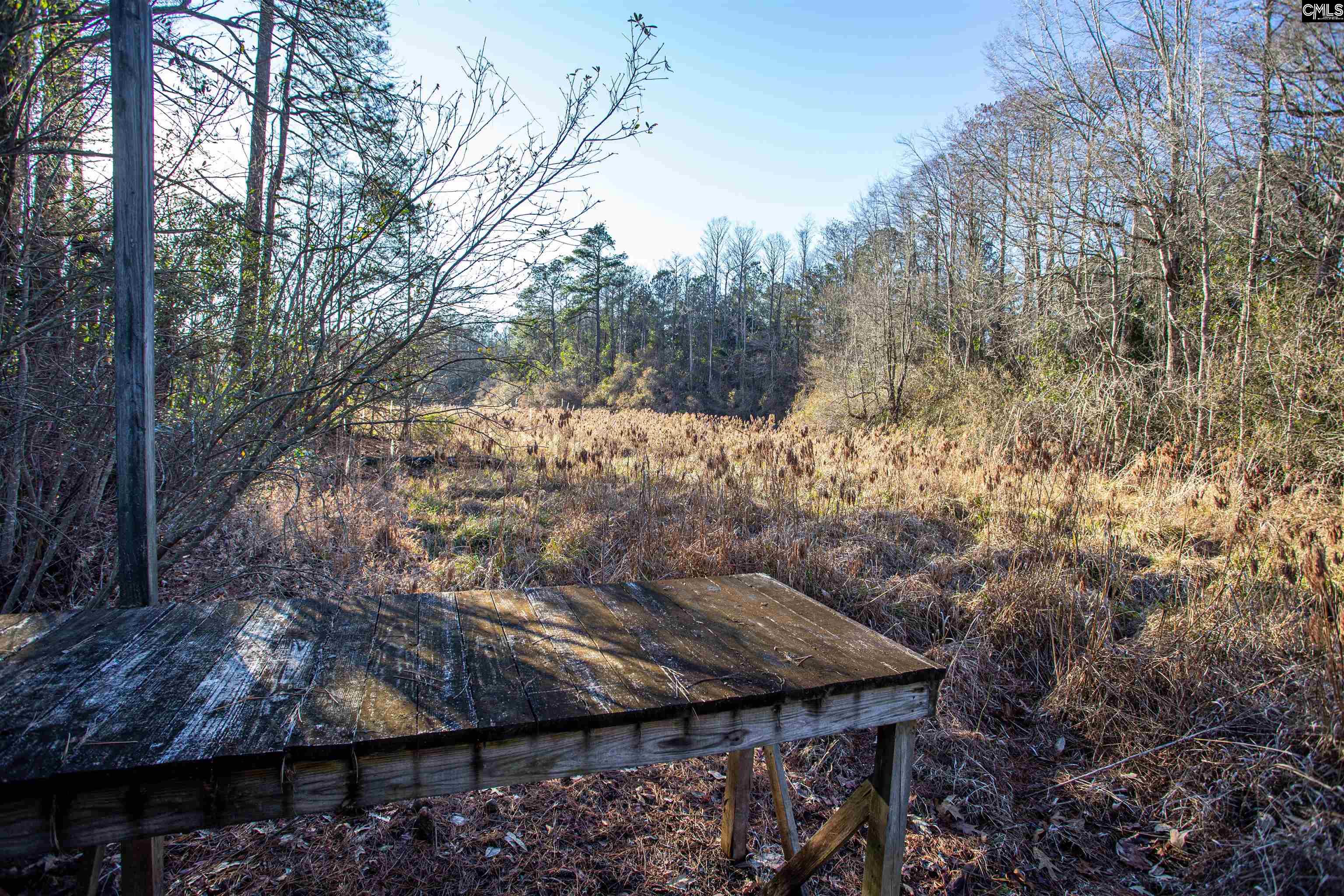 139 State Rd S-28-433 Camden, SC 29020 - Photo 32 of 33