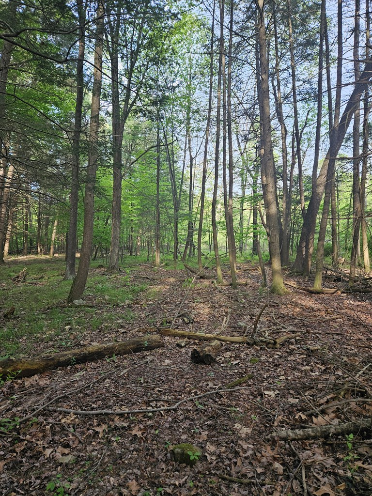 0 Hares Valley Road Mapleton Depot, PA 17052 - Photo 25 of 28 Gallery Image 25