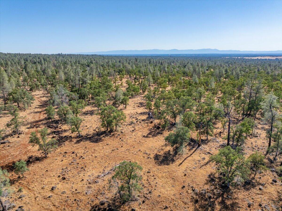 Dersch Millville, CA 96062 - Photo 12 of 14 a view of city with ocean