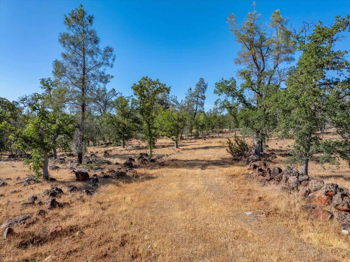 Dersch Millville, CA 96062 - Photo 2 of 14 a view of backyard space and trees