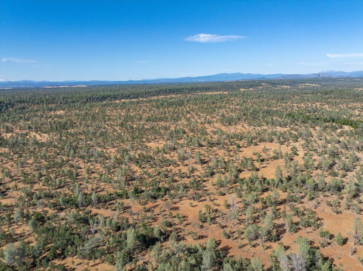 Dersch Millville, CA 96062 - Photo 5 of 14 a view of an ocean