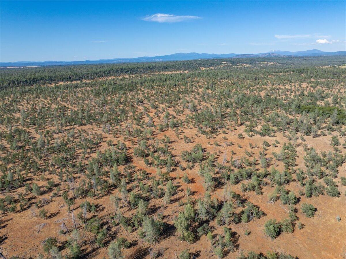 Dersch Millville, CA 96062 - Photo 6 of 14 a view of city and ocean