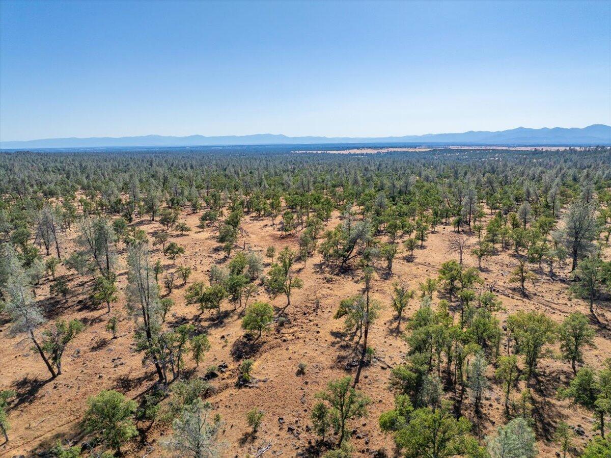 Dersch Millville, CA 96062 - Photo 9 of 14 an aerial view of houses covered in trees