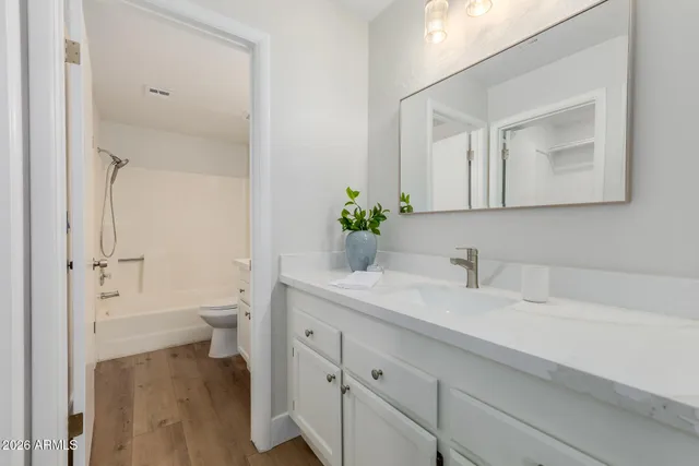 a bathroom with a sink and a toilet