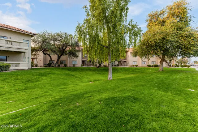 a view of a tree in front of a house