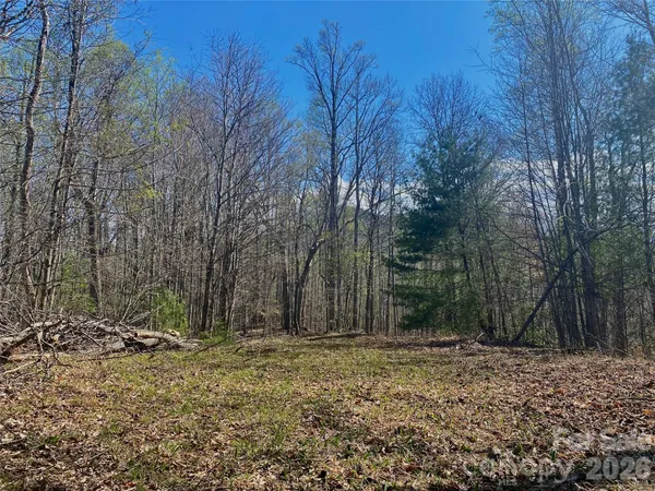 $45,000 | 0 Scenic View Drive, Unit 1 & 2, Green Mountain, NC 28740