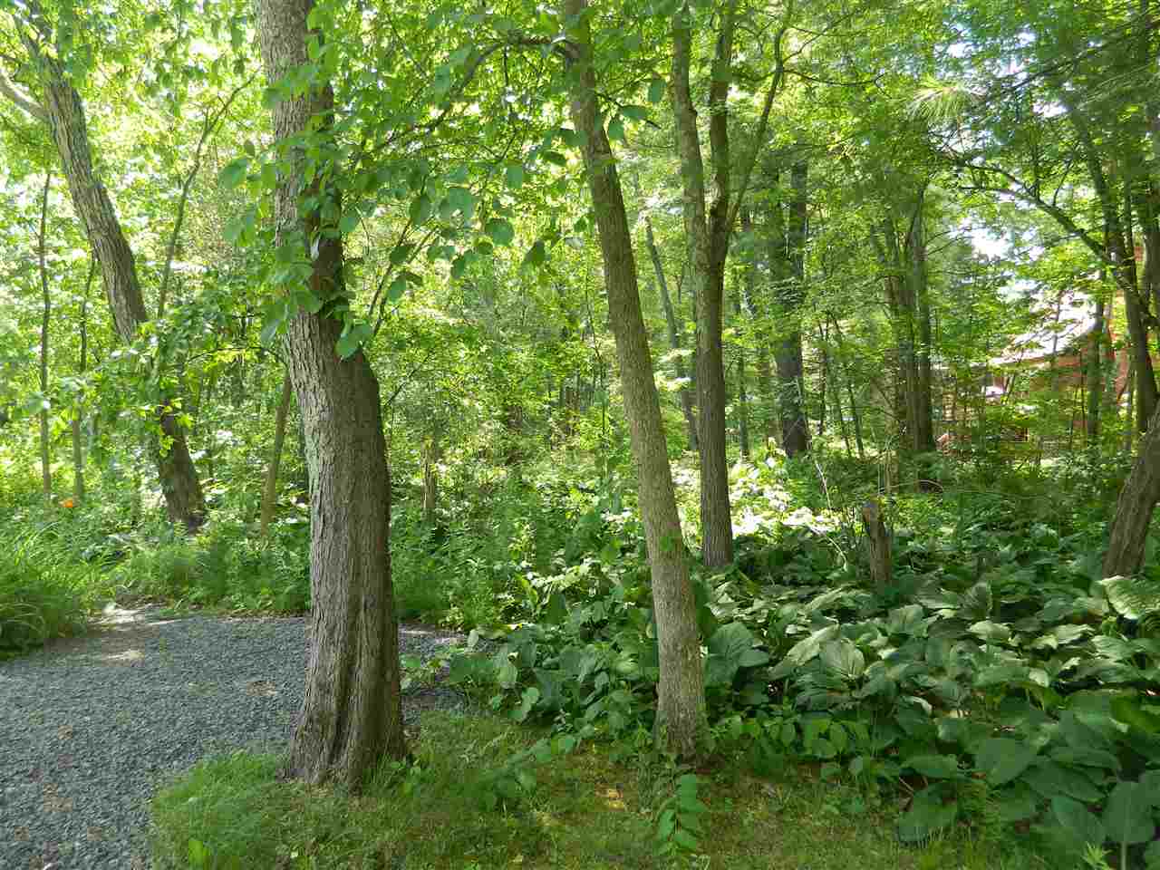 347 Main Dunstable Road Nashua, NH 03062 - Photo 7 of 18