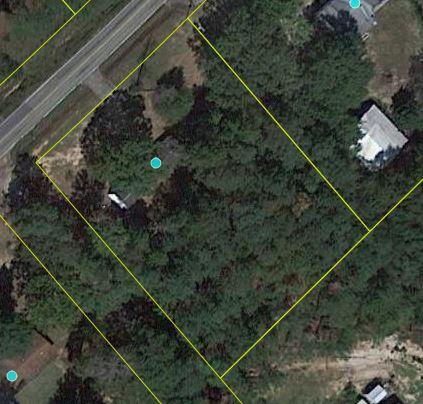 223 Harmon Road Hopkins, SC 29061 - Photo 16 of 16 Aerial