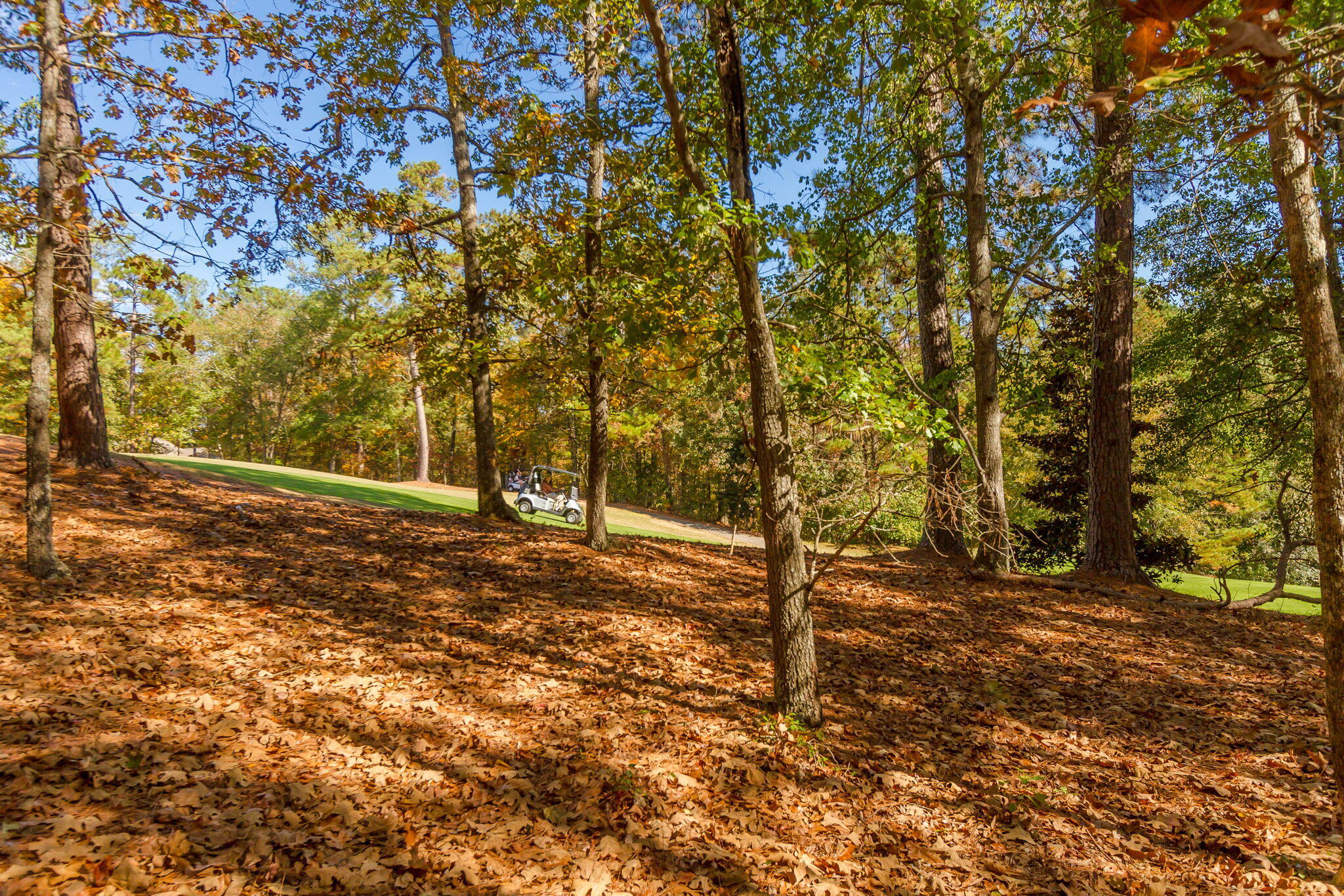 124 Sugarberry Road Aiken, SC 29803 - Photo 60 of 62