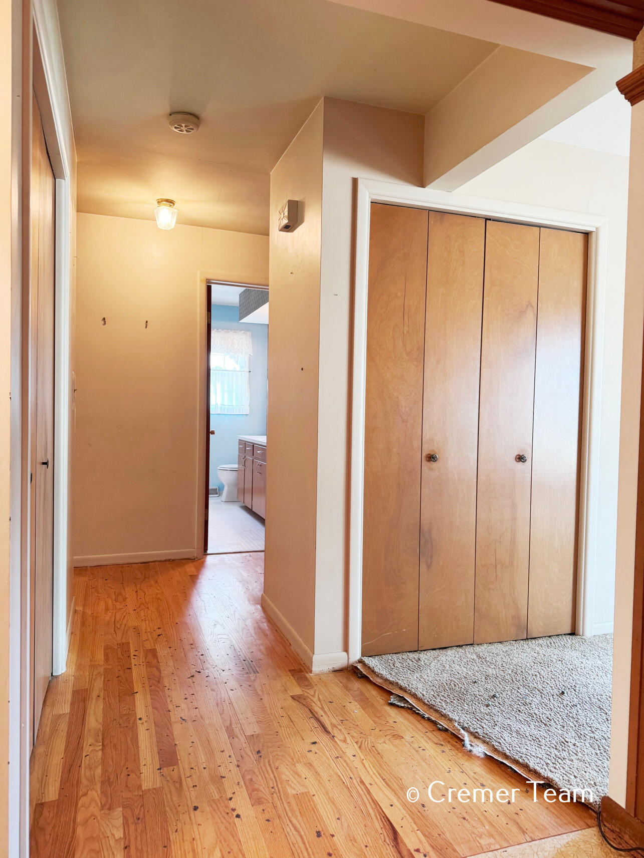 9068 Victor Avenue Jenison, MI 49428 - Photo 17 of 30 Hallway