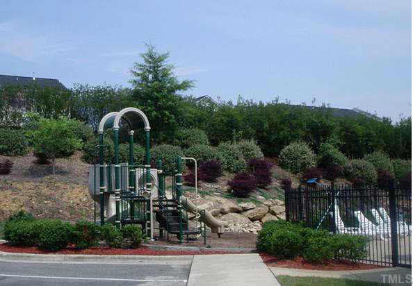 1316 Rushing Creek Parkway Raleigh, NC 27610 - Photo 5 of 12 COMMUNITY PLAY AREA