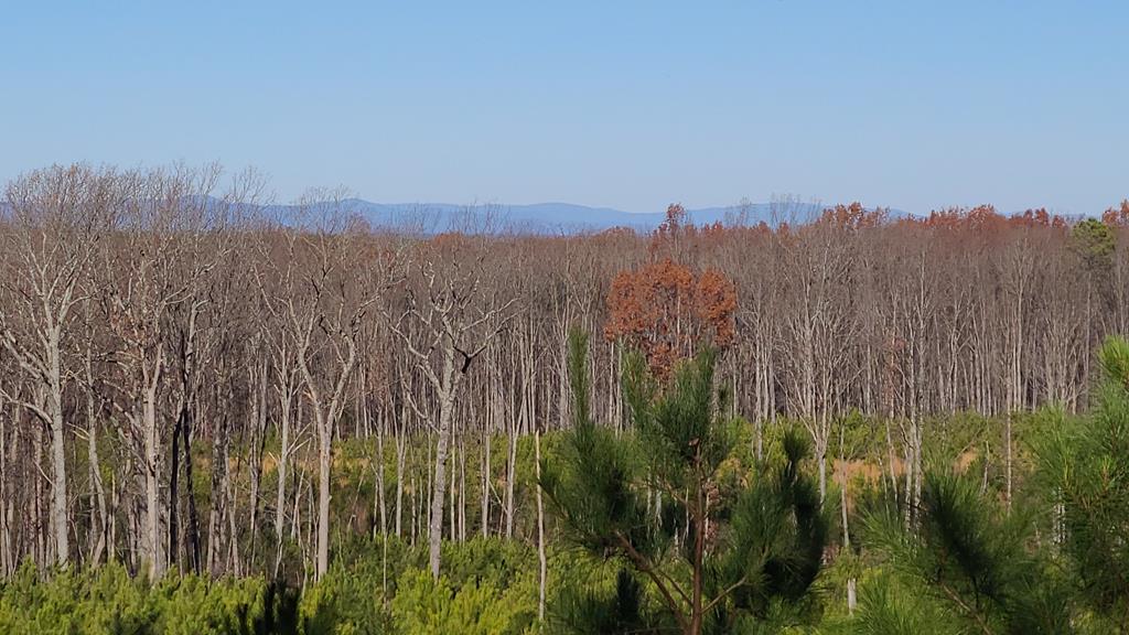 2 Rocky Mount Road Dillwyn, VA 23936 - Photo 1 of 19 Gallery Image 1