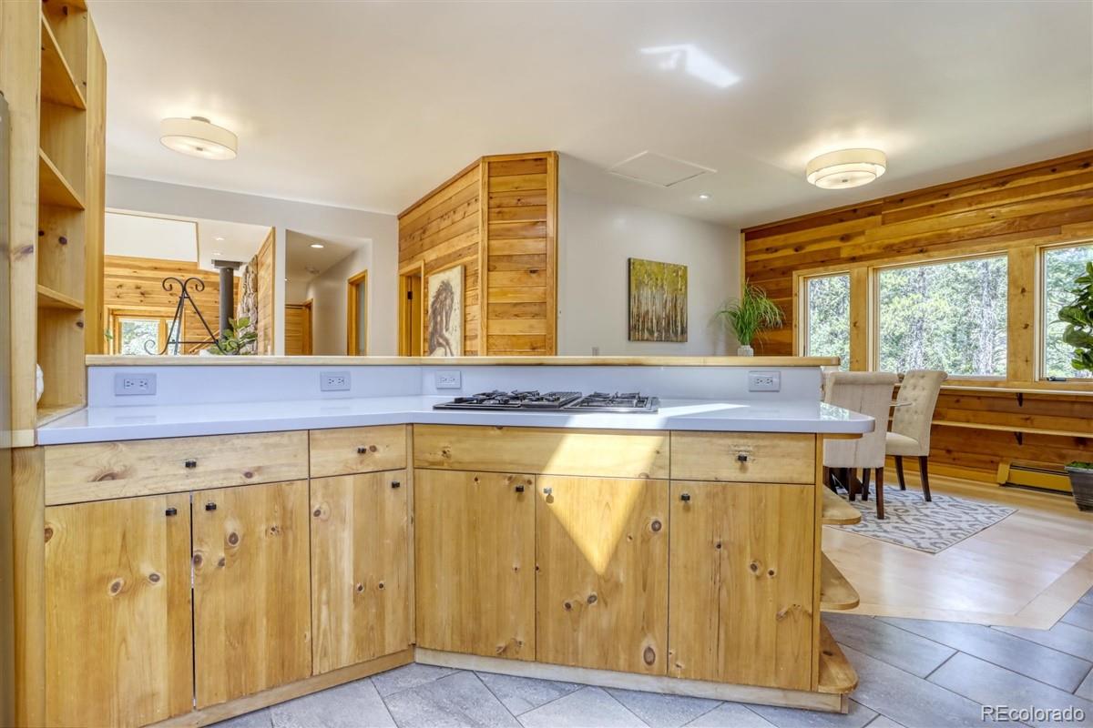 381 Ridge Road Ward, CO 80481 - Photo 16 of 40
