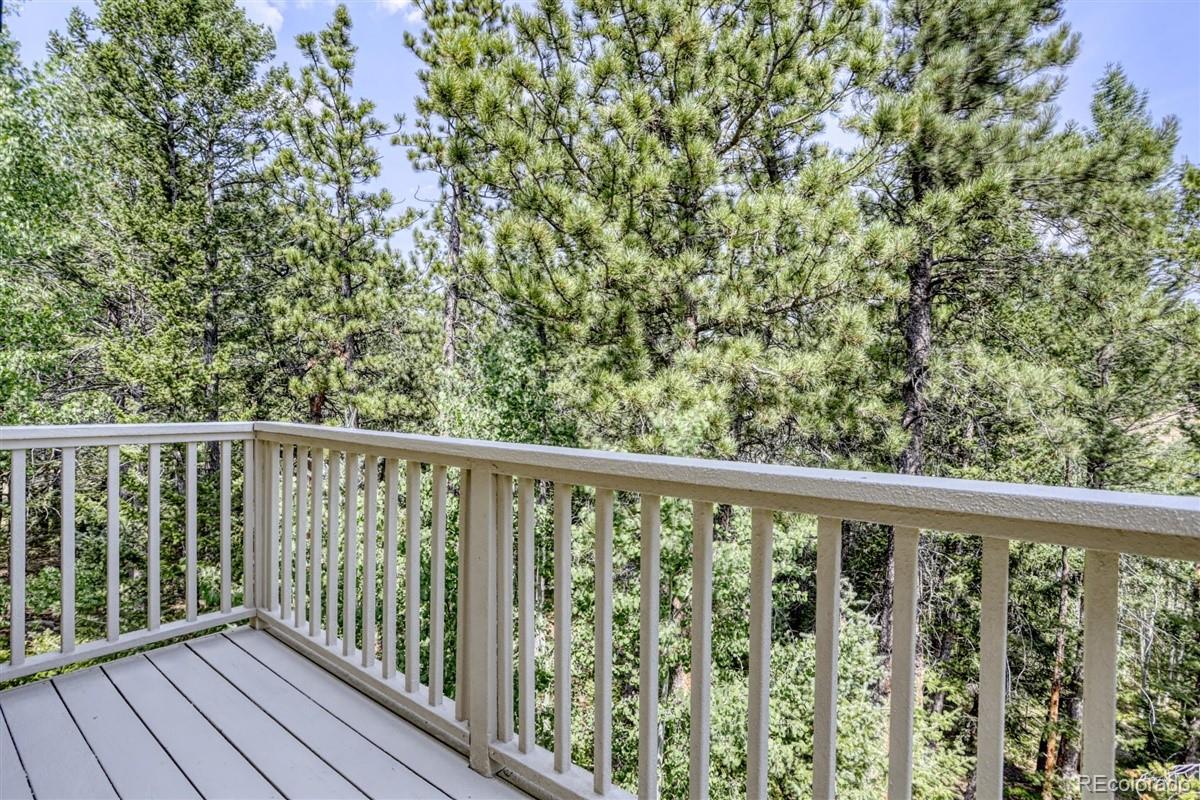 381 Ridge Road Ward, CO 80481 - Photo 32 of 40