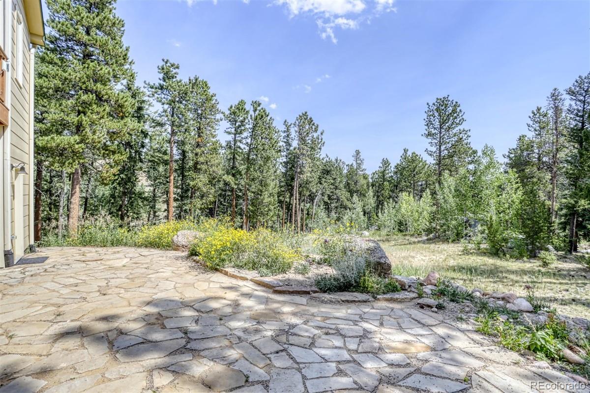381 Ridge Road Ward, CO 80481 - Photo 35 of 40