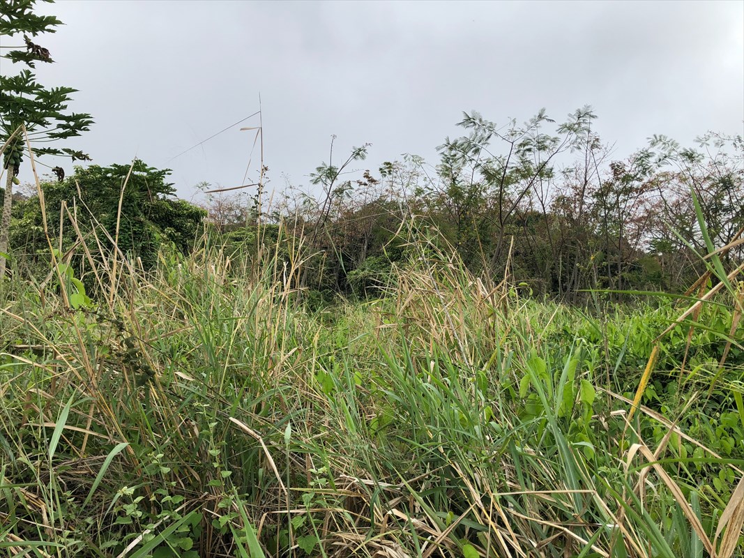 86-4180 Old Government Road Captain Cook, HI 96704 - Photo 2 of 4 Gallery Image 2