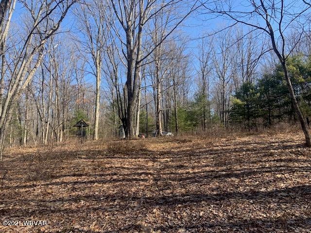 Boone Road, Unit 3 Cross Fork, PA 17729 - Photo 12 of 12 Gallery Image 12