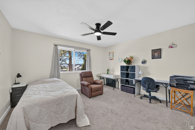 4468 North Droubay Road Tooele, UT 84074 - Photo 19 of 60 Wall-to-wall carpeting, a window providing natural light, and a ceiling fan with integrated lighting