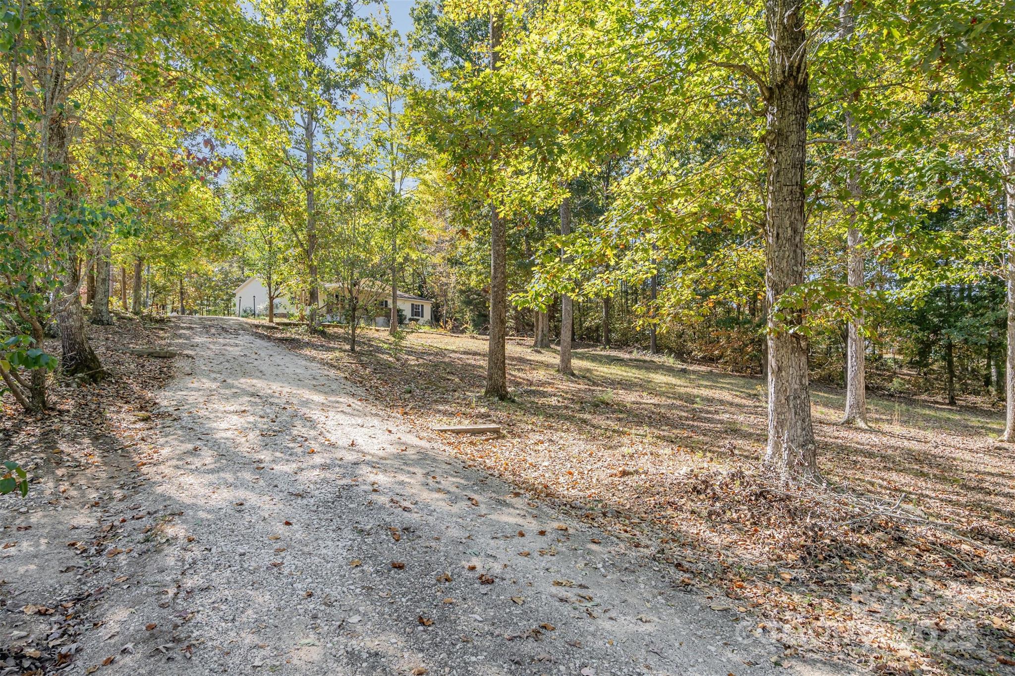 1979 Center Road Chester, SC 29706 - Photo 3 of 38 a view of a forest with trees