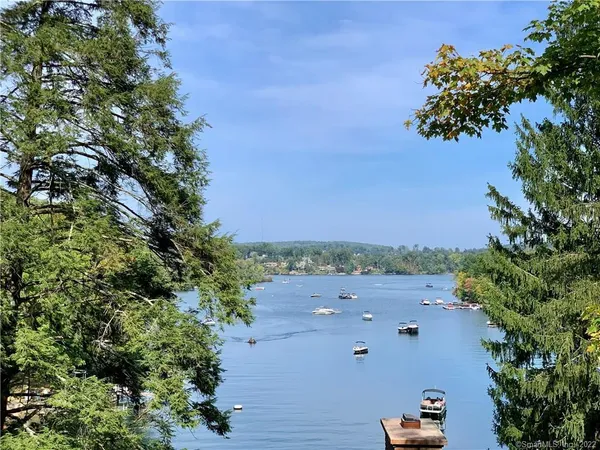 a view of a bunch of trees