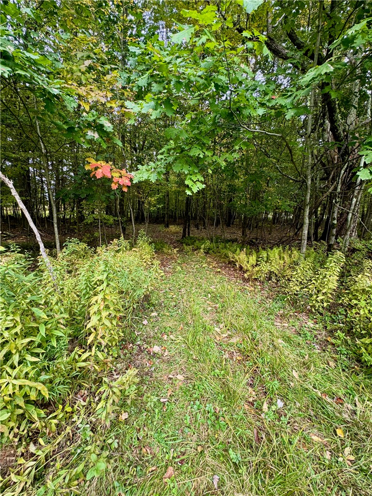 Gallop Hill Road Walton, NY 13856 - Photo 31 of 48 Trail