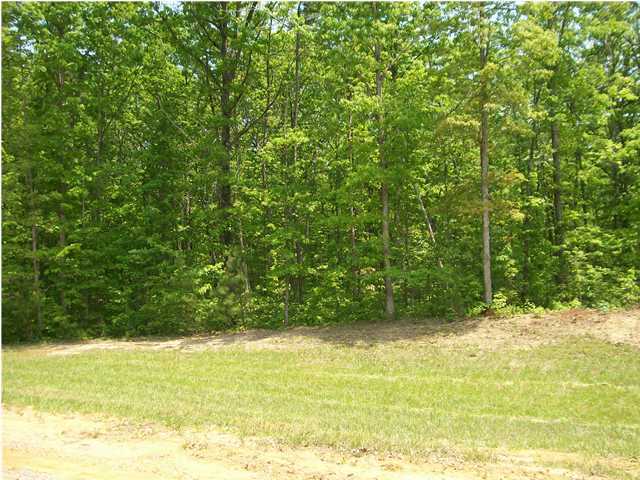 112 Lou Road Pikeville, TN 37367 - Photo 1 of 6 Primary Photo