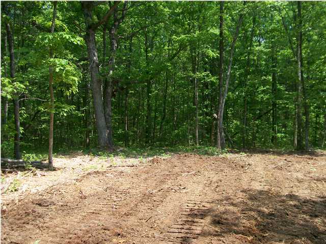 112 Lou Road Pikeville, TN 37367 - Photo 3 of 6 Additional Photo