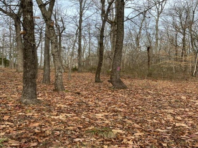 Lot W Brothers Drive Roxboro, NC 27573 - Photo 4 of 12 Photo 4