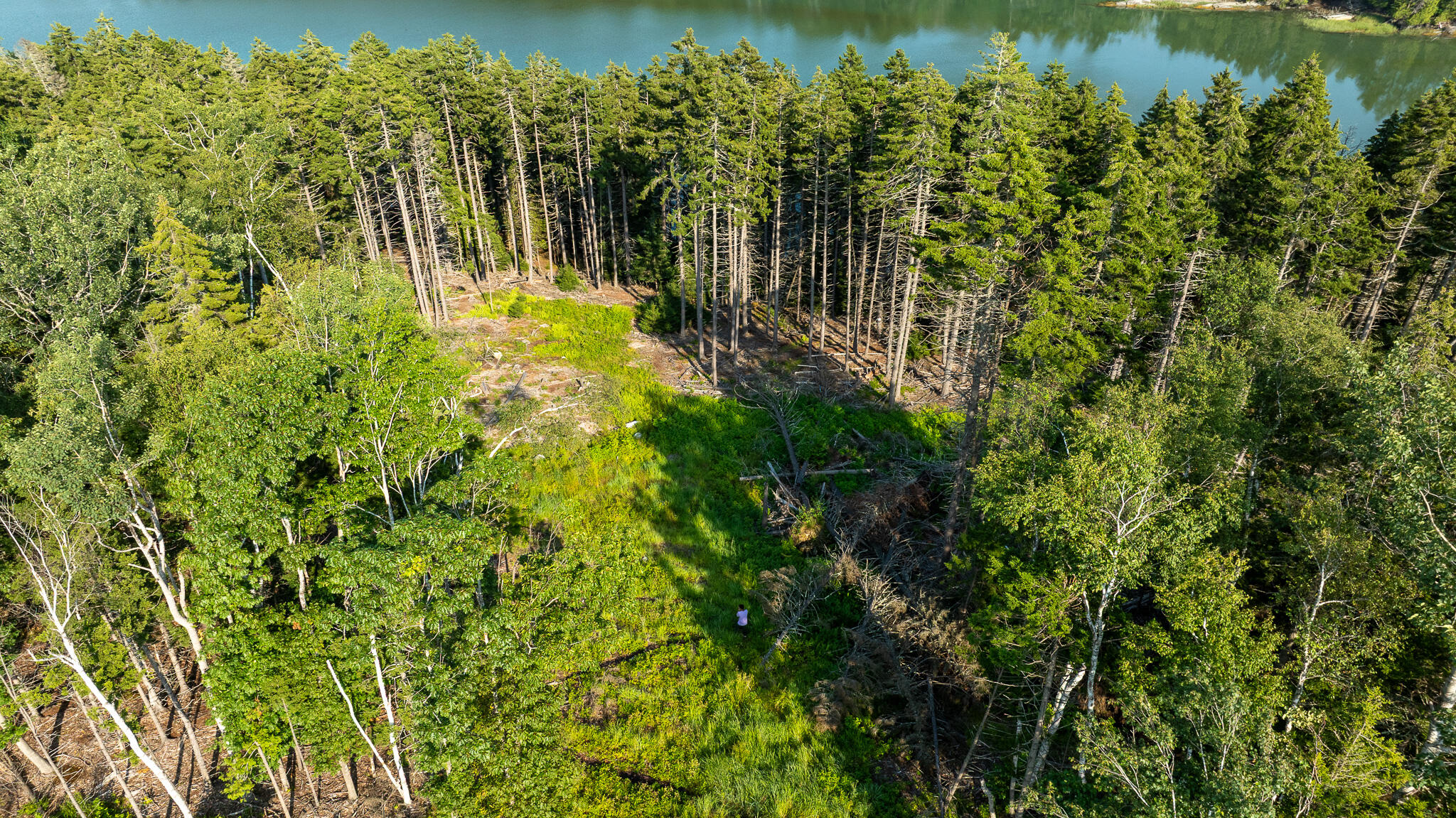 0 Bayview Road, Unit 2 Orrs Island, ME 04066 - Photo 12 of 61 DJI_0571